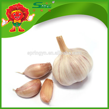 New Crop Fresh Chinese Garlic White Garlic